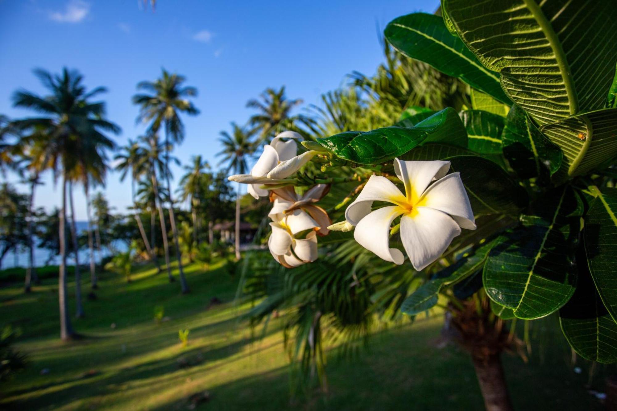 Ban Raya Resort And Spa Koh Racha Yai Exterior photo