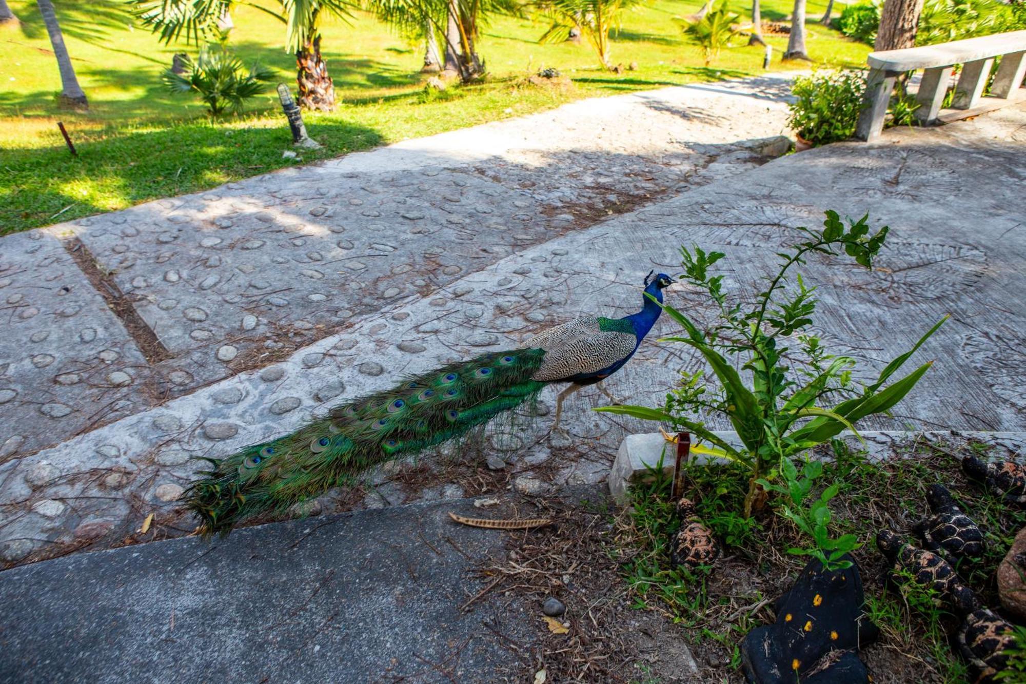 Ban Raya Resort And Spa Koh Racha Yai Exterior photo